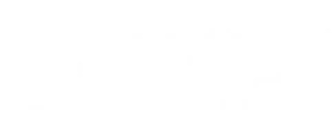 penguinking